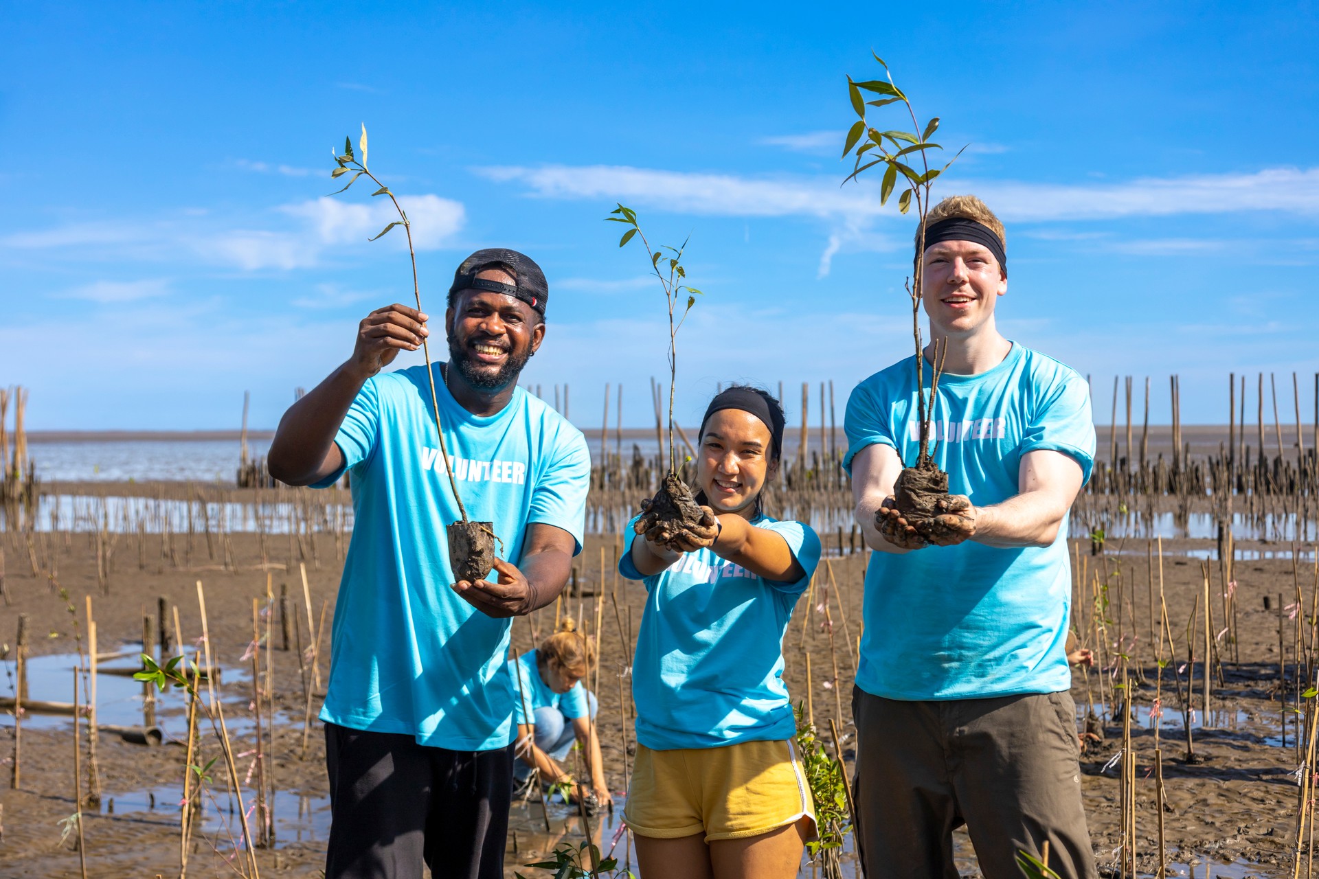 Team of young and diversity volunteer worker group enjoy charitable social work outdoor in mangrove planting NGO work for fighting climate change and global warming in coastline habitat project